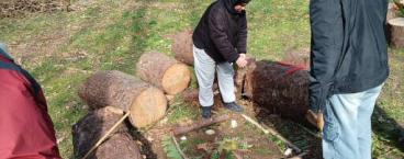 BAFA Formation générale animateur