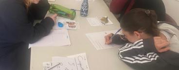 BAFA Approfondissement animateur